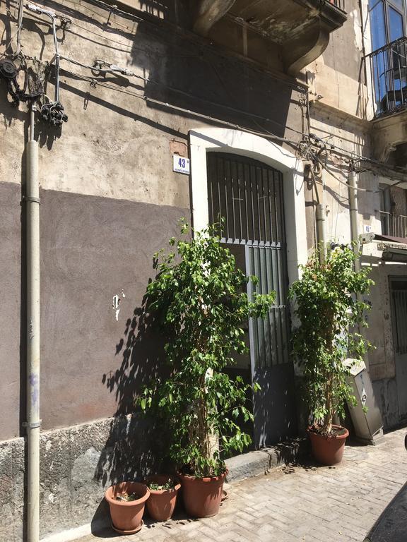 Casa Vacanza Civita Catania Centro Exterior foto